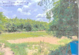 รูปทรัพย์ 2