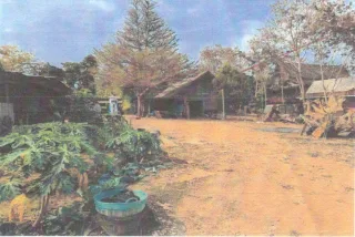 รูปทรัพย์ 2