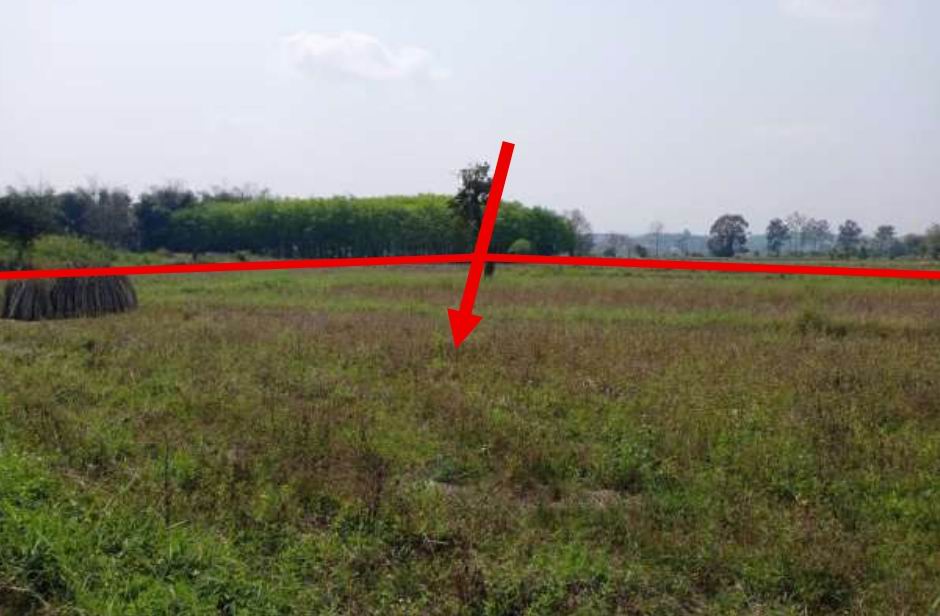 ขายทอดตลาด ที่ดินว่างเปล่า ต.โยนก อ.เชียงแสน จ.เชียงราย