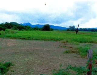 รูปทรัพย์ 1