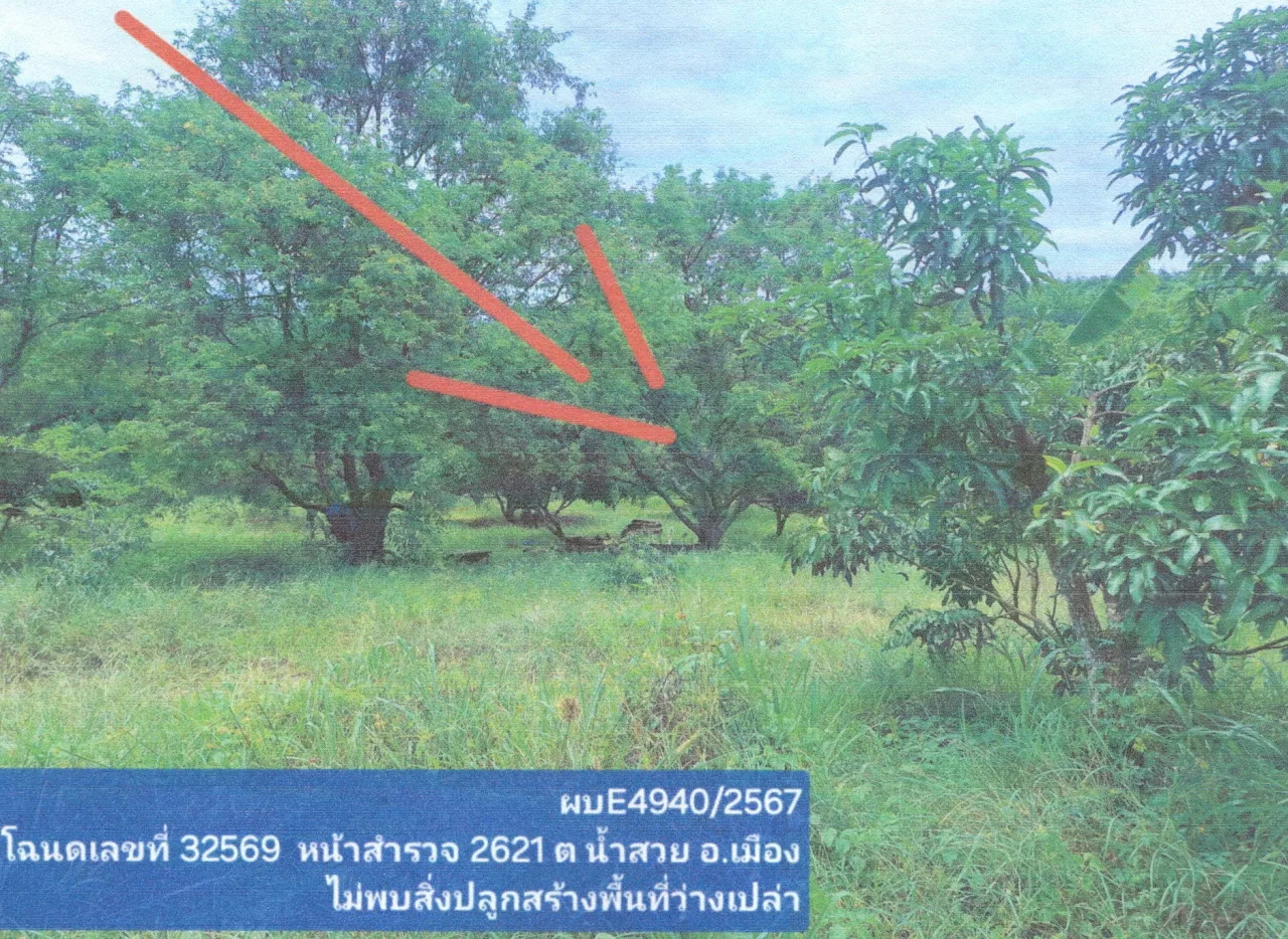 ขายทอดตลาด ที่ดินว่างเปล่า ต.น้ำสวย อ.เมืองเลย จ.เลย