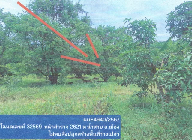 ขายทอดตลาด ที่ดินว่างเปล่า ต.น้ำสวย อ.เมืองเลย จ.เลย