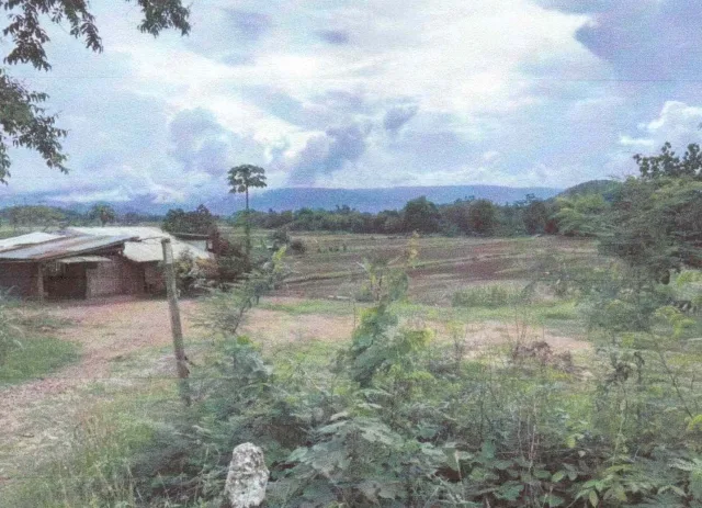 ขายทอดตลาด ที่ดินพร้อมสิ่งปลูกสร้าง ต.ผาบิ้ง อ.วังสะพุง จ.เลย