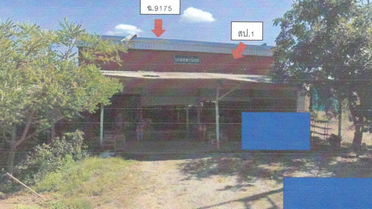 ขายทอดตลาด ที่ดินพร้อมสิ่งปลูกสร้าง ต.หนองผือ อ.ท่าลี่ จ.เลย