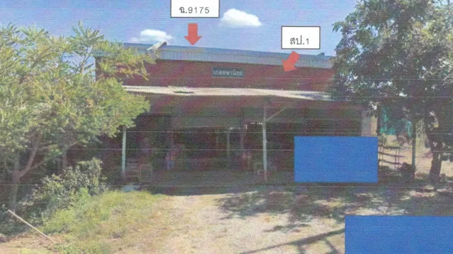 ขายทอดตลาด ที่ดินพร้อมสิ่งปลูกสร้าง ต.หนองผือ อ.ท่าลี่ จ.เลย
