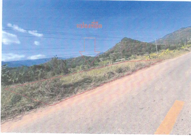 ขายทอดตลาด ที่ดินว่างเปล่า ต.ท่าลี่ อ.ท่าลี่ จ.เลย
