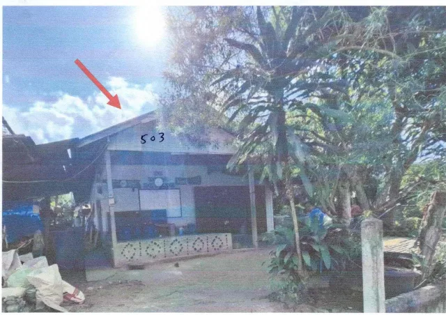 ขายทอดตลาด ที่ดินพร้อมสิ่งปลูกสร้าง ต.ปากชม อ.ปากชม จ.เลย