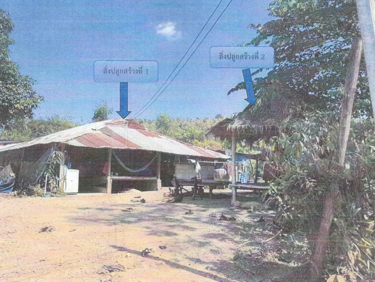 ขายทอดตลาด ที่ดินพร้อมสิ่งปลูกสร้าง ต.ผาบิ้ง อ.วังสะพุง จ.เลย