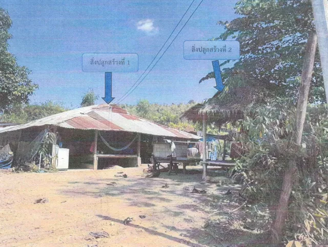 ขายทอดตลาด ที่ดินพร้อมสิ่งปลูกสร้าง ต.ผาบิ้ง อ.วังสะพุง จ.เลย