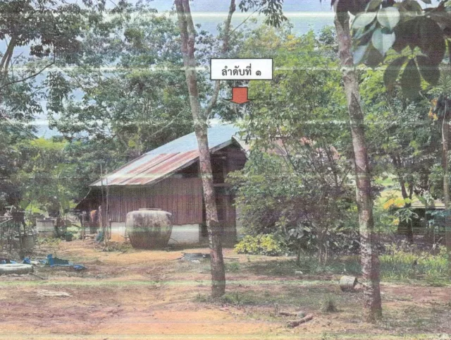 ขายทอดตลาด ที่ดินพร้อมสิ่งปลูกสร้าง ต.เชียงกลม อ.ปากชม จ.เลย