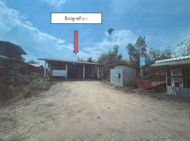 ขายทอดตลาด ที่ดินพร้อมสิ่งปลูกสร้าง ต.เขาหลวง อ.วังสะพุง จ.เลย