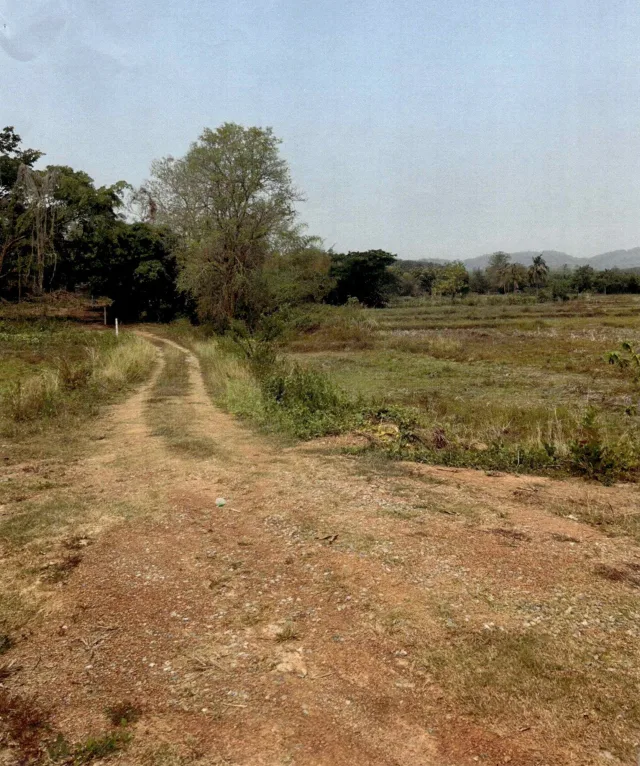 ขายทอดตลาด ที่ดินว่างเปล่า ต.เชียงคาน อ.เชียงคาน จ.เลย