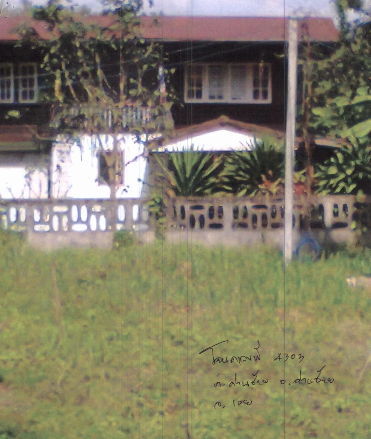 ขายทอดตลาด ที่ดินพร้อมสิ่งปลูกสร้าง ต.ด่านซ้าย อ.ด่านซ้าย จ.เลย