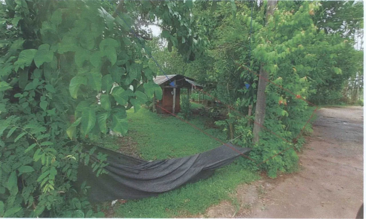 ขายทอดตลาด ที่ดินพร้อมสิ่งปลูกสร้าง ต.เกตรี อ.เมืองสตูล จ.สตูล