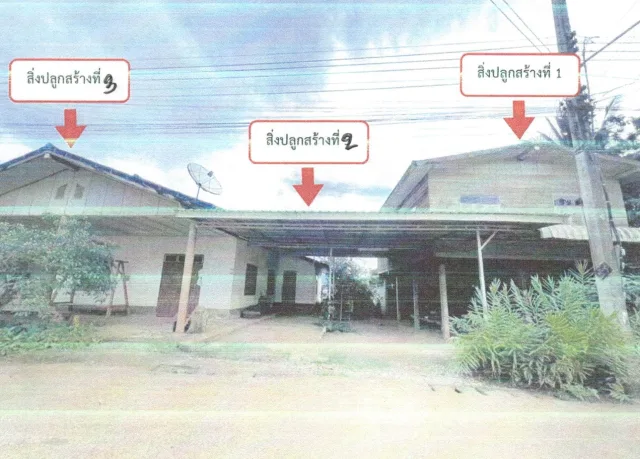 ขายทอดตลาด ที่ดินพร้อมสิ่งปลูกสร้าง ต.น้ำสวย อ.เมืองเลย จ.เลย
