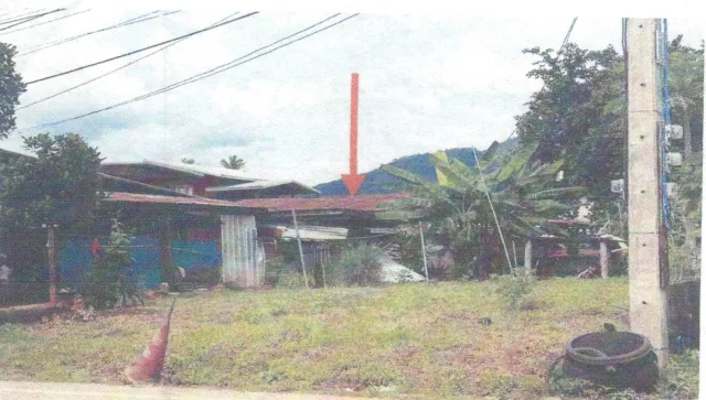 ขายทอดตลาด ที่ดินพร้อมสิ่งปลูกสร้าง ต.บุฮม อ.เชียงคาน จ.เลย