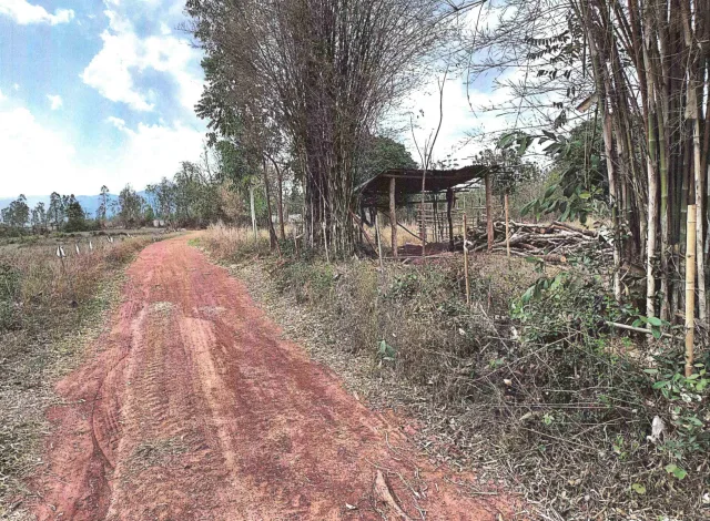 ขายทอดตลาด ที่ดินว่างเปล่า ต.หนองผือ อ.ท่าลี่ จ.เลย