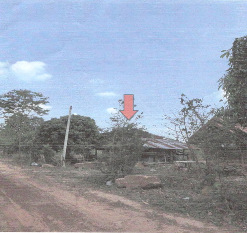 ขายทอดตลาด ที่ดินพร้อมสิ่งปลูกสร้าง ต.นาฝาย อ.เมืองชัยภูมิ จ.ชัยภูมิ