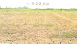 รูปทรัพย์ 2