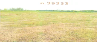 รูปทรัพย์ 3