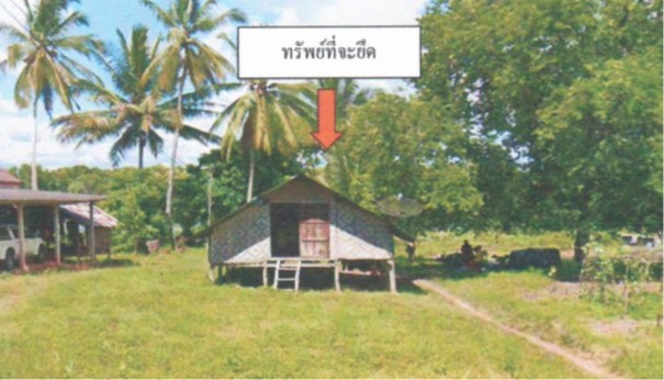 ขายทอดตลาด ที่ดินพร้อมสิ่งปลูกสร้าง ต.ท่าแพ อ.กิ่งอำเภอท่าแพ จ.สตูล