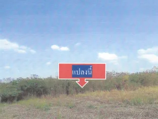 รูปทรัพย์ 2