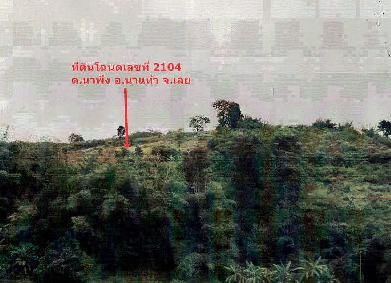 ขายทอดตลาด ที่ดินว่างเปล่า ต.นาพึง อ.นาแห้ว จ.เลย