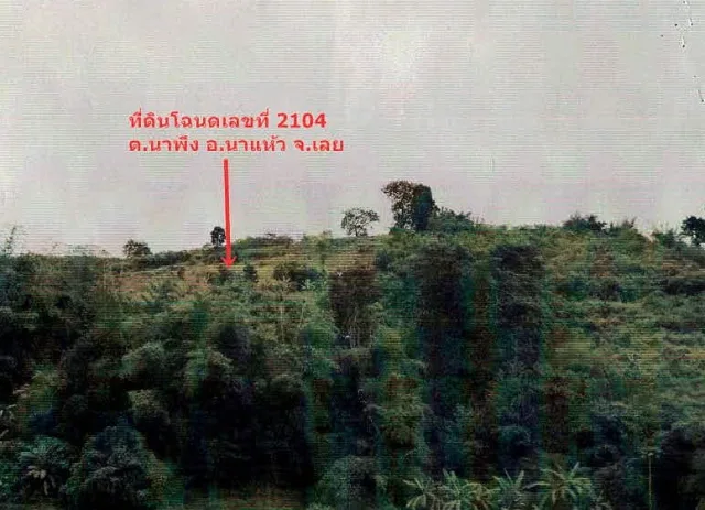 ขายทอดตลาด ที่ดินว่างเปล่า ต.นาพึง อ.นาแห้ว จ.เลย