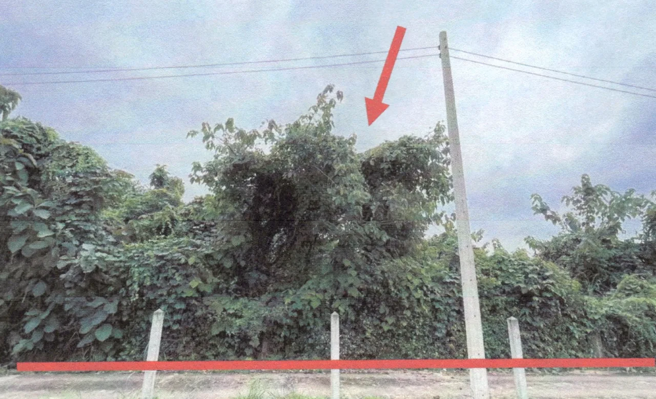 ขายทอดตลาด ที่ดินว่างเปล่า ต.เมือง อ.เมืองเลย จ.เลย