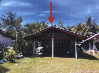 รูปทรัพย์ 2