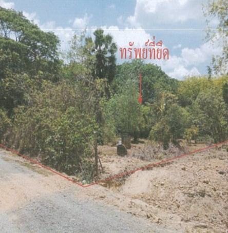 ขายทอดตลาด ที่ดินว่างเปล่า ต.คลองขุด อ.เมืองสตูล จ.สตูล