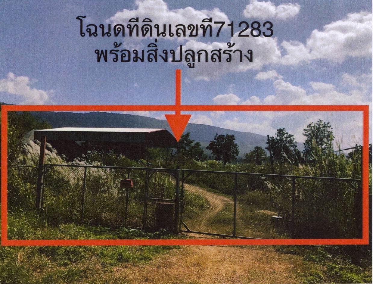 ขายทอดตลาด ที่ดินพร้อมสิ่งปลูกสร้าง ต.สันมะเค็ด อ.พาน จ.เชียงราย