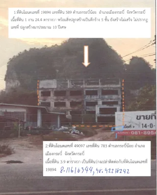 รูปทรัพย์ 1