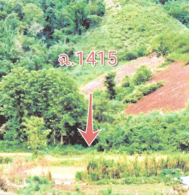 ขายทอดตลาด ที่ดินว่างเปล่า ต.นามาลา อ.นาแห้ว จ.เลย