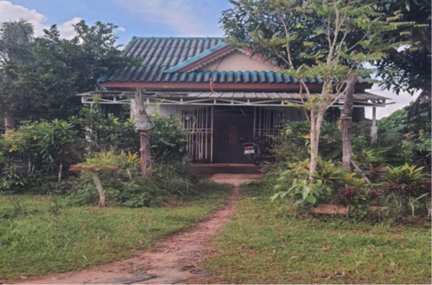 ขายทอดตลาด ที่ดินพร้อมสิ่งปลูกสร้าง ต.ควนสตอ อ.ควนโดน จ.สตูล