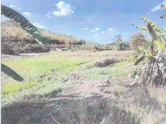 ขายทอดตลาด ที่ดินว่างเปล่า ต.หนองคัน อ.ภูหลวง จ.เลย