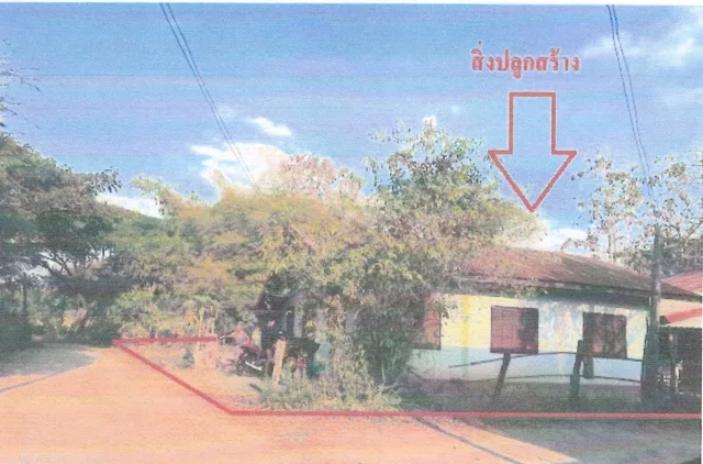 ขายทอดตลาด ที่ดินพร้อมสิ่งปลูกสร้าง ต.โคกขมิ้น อ.วังสะพุง จ.เลย