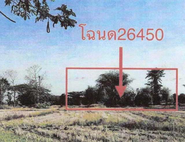 ขายทอดตลาด ที่ดินว่างเปล่า ต.ธาตุ อ.เชียงคาน จ.เลย