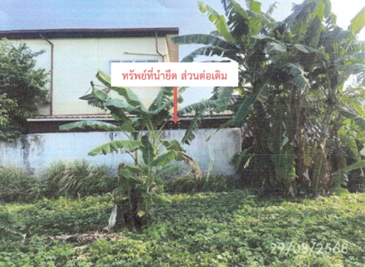 ขายทอดตลาด ที่ดินพร้อมสิ่งปลูกสร้าง ต.กำแพง อ.ละงู จ.สตูล