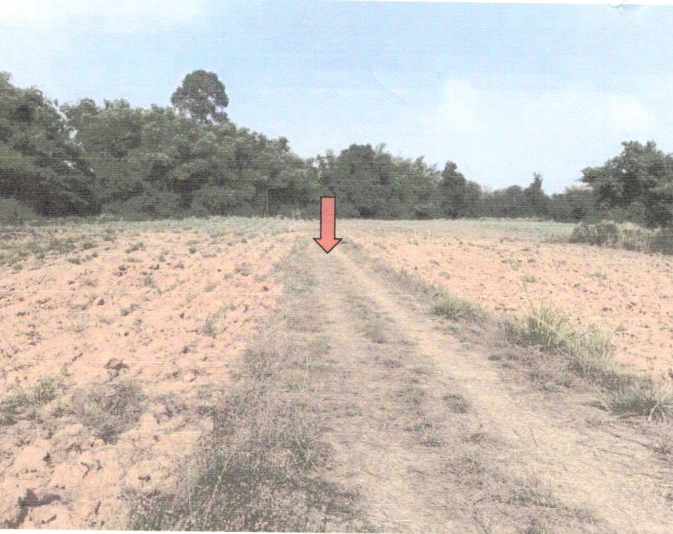ขายทอดตลาด ที่ดินว่างเปล่า ต.โคกเริงรมย์ อ.บำเหน็จณรงค์ จ.ชัยภูมิ
