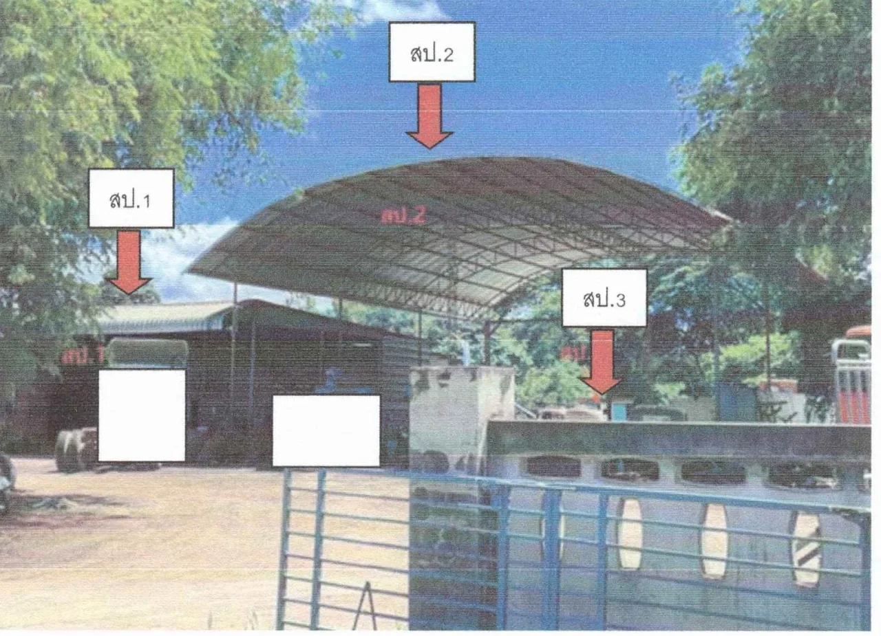 ขายทอดตลาด ที่ดินพร้อมสิ่งปลูกสร้าง ต.หนองผือ อ.ท่าลี่ จ.เลย