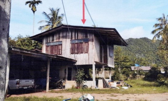 ขายทอดตลาด ที่ดินพร้อมสิ่งปลูกสร้าง ต.ย่านซื่อ อ.ควนโดน จ.สตูล