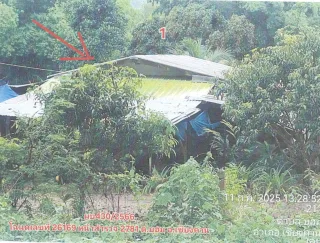 รูปทรัพย์ 3