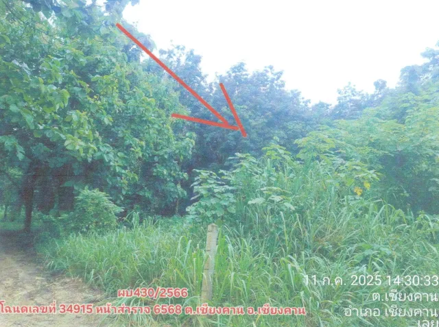 ขายทอดตลาด ที่ดินว่างเปล่า ต.เชียงคาน อ.เชียงคาน จ.เลย
