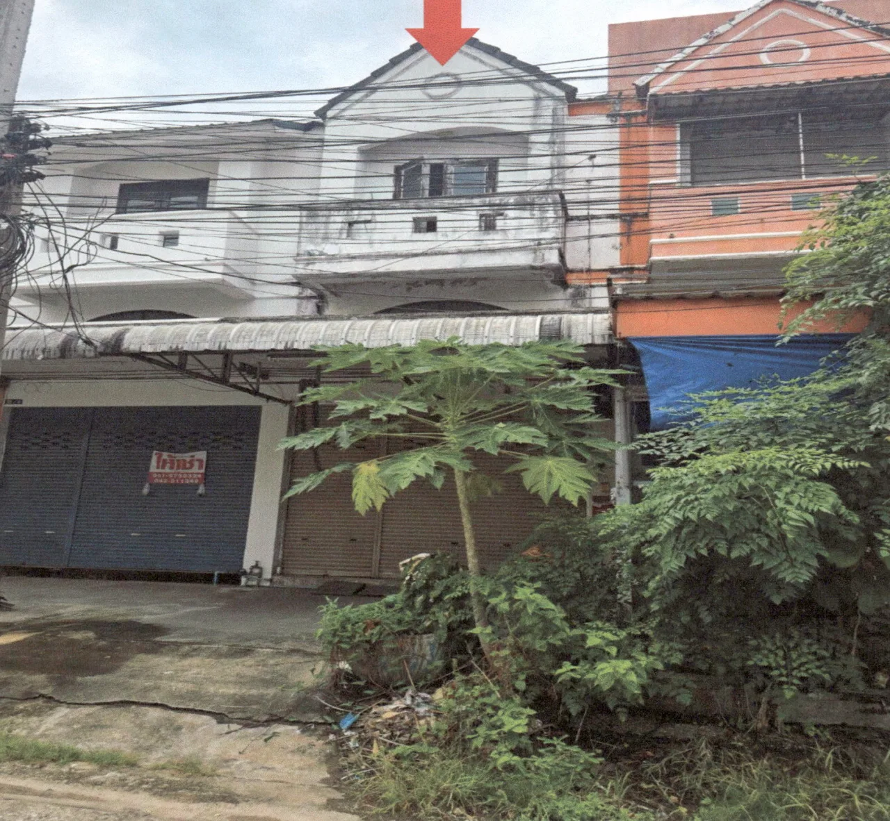 ขายทอดตลาด ที่ดินพร้อมสิ่งปลูกสร้าง ต.กุดป่อง อ.เมืองเลย จ.เลย