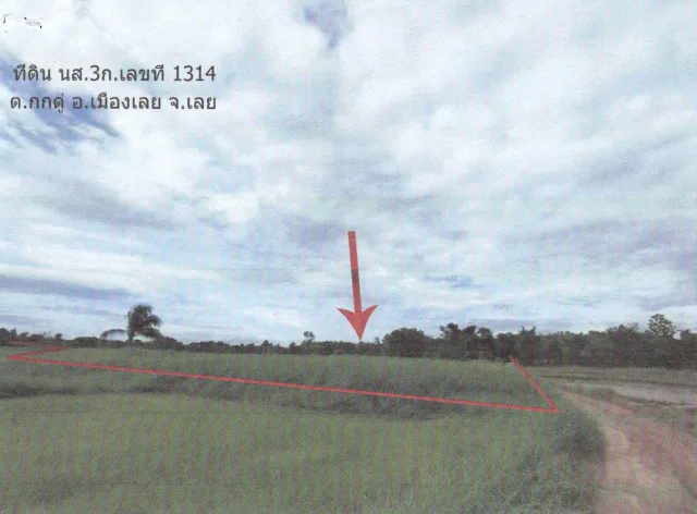 ขายทอดตลาด ที่ดินว่างเปล่า ต.กกดู่ อ.เมืองเลย จ.เลย