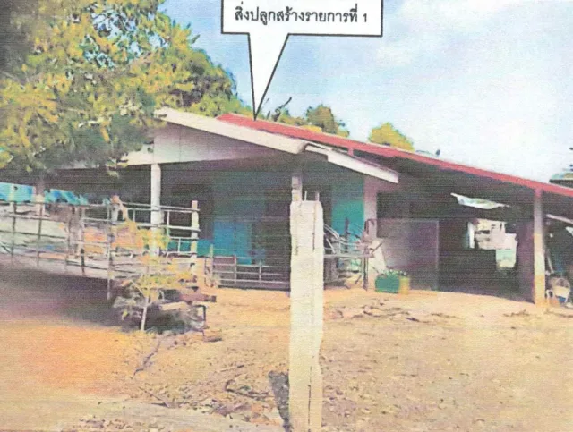 ขายทอดตลาด ที่ดินพร้อมสิ่งปลูกสร้าง ต.นาดอกคำ อ.นาด้วง จ.เลย