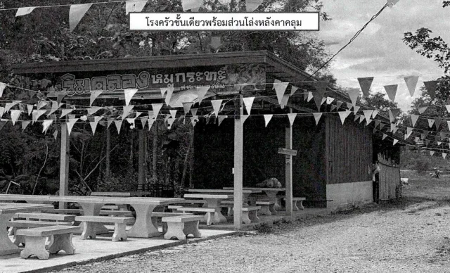 ขายทอดตลาด ที่ดินพร้อมสิ่งปลูกสร้าง ต.หนองหิน อ.หนองหิน จ.เลย