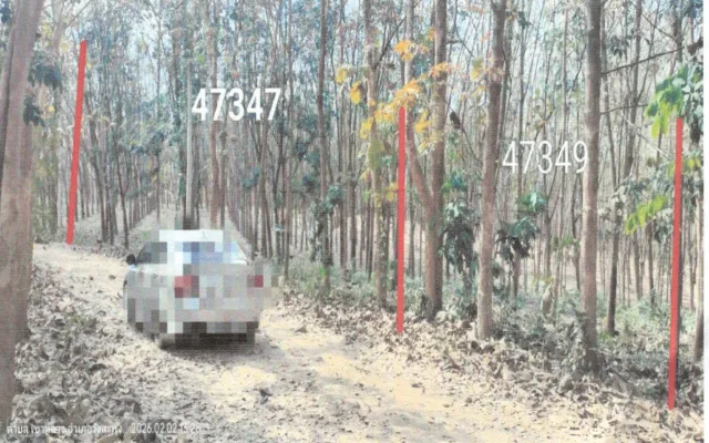 ขายทอดตลาด ที่ดินว่างเปล่า ต.ทรายขาว อ.วังสะพุง จ.เลย