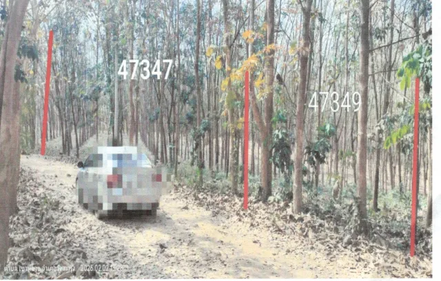 ขายทอดตลาด ที่ดินพร้อมสิ่งปลูกสร้าง ต.ทรายขาว อ.วังสะพุง จ.เลย